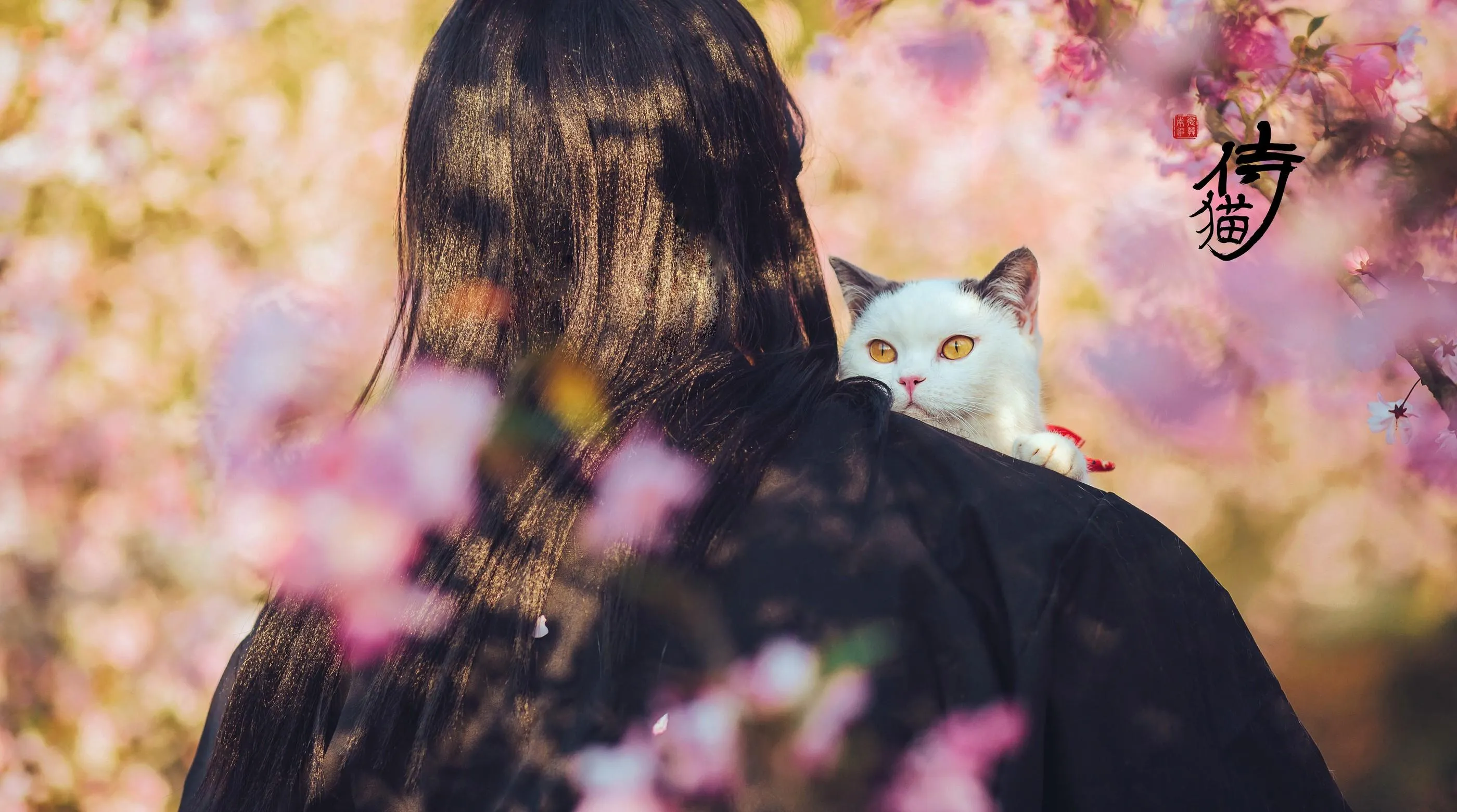 [YITUYU艺图语]2021.09.04 猫侍 邱风 [31P]插图